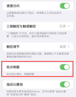 顺庆苹果授权维修站分享iPhone轻点无法唤醒怎么办 