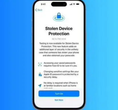顺庆苹果授权维修店分享被盗设备保护功能开启方法 