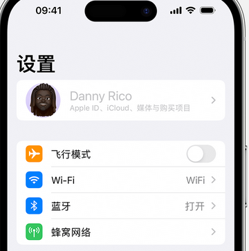 顺庆appleID维修服务iPhone设置中Apple ID显示为灰色无法使用