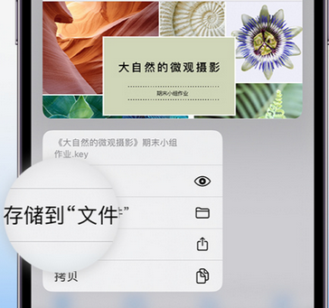 顺庆apple维修中心分享iPhone文件应用中存储和找到下载文件