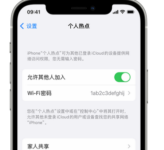 顺庆apple服务站点分享iPhone上个人热点丢失了怎么办 