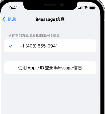 顺庆apple维修iPhone上无法正常发送iMessage信息