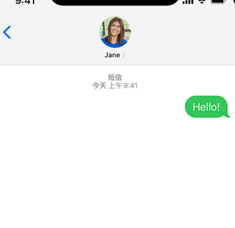 顺庆apple维修iPhone上无法正常发送iMessage信息