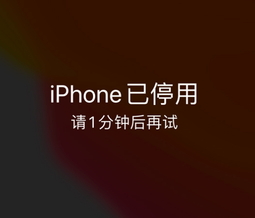 顺庆苹果手机维修分享:iPhone 显示“不可用”或“已停用”怎么办？还能保留数据吗？ 