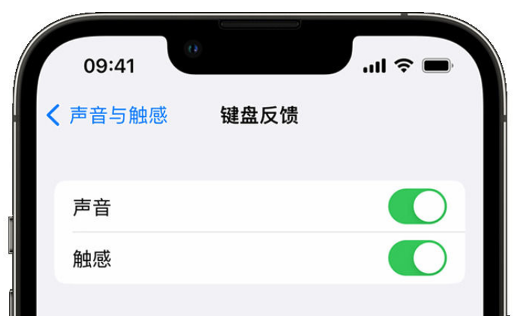 顺庆苹果手机维修分享iPhone 14触感键盘使用方法 