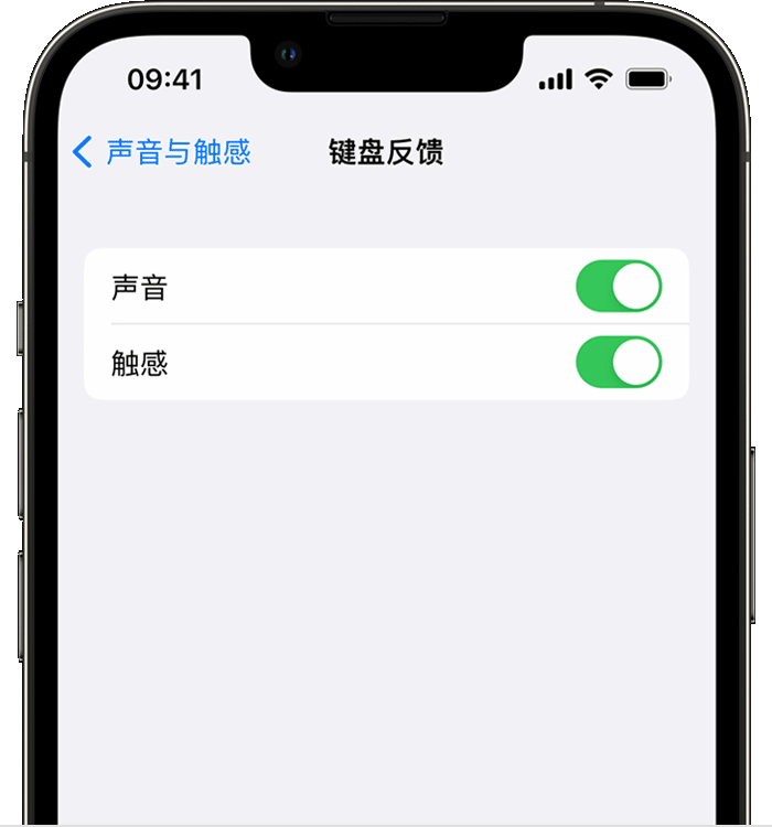 顺庆苹果14维修店分享如何在 iPhone 14 机型中使用触感键盘 