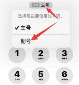 顺庆苹果14维修店分享iPhone 14 Pro Max使用副卡打电话的方法 