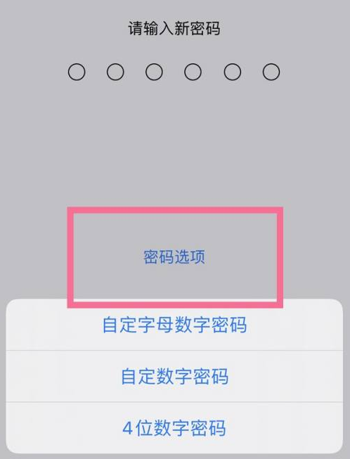 顺庆苹果14维修分享iPhone 14plus设置密码的方法 