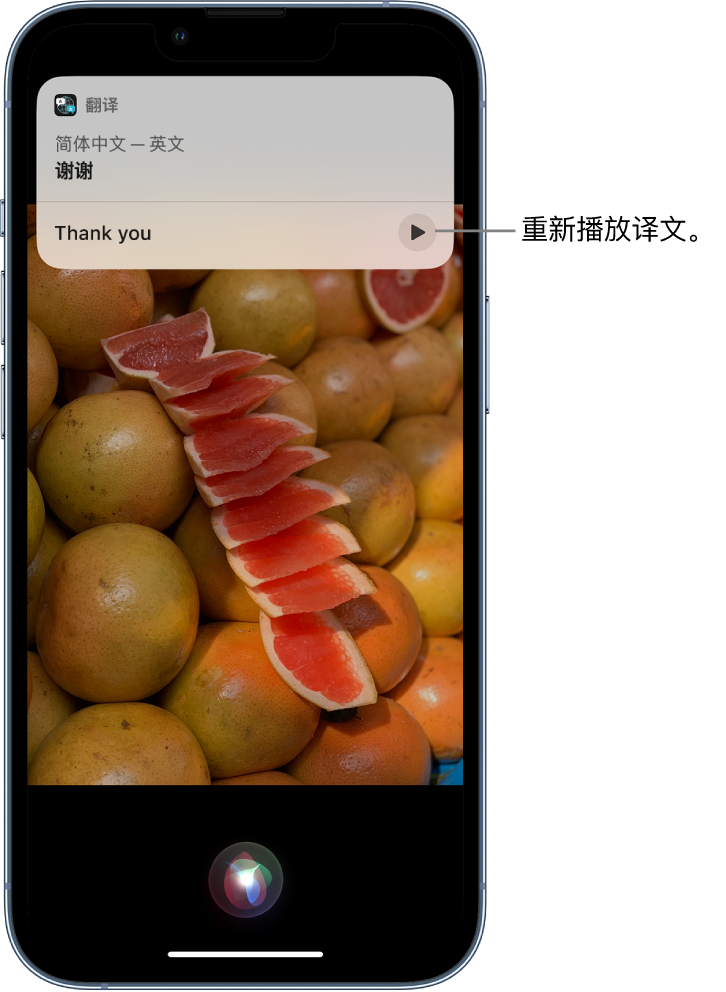 顺庆苹果14维修分享 iPhone 14 机型中使用 Siri：了解 Siri 能帮你做什么 