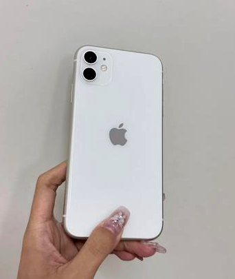 顺庆苹果维修点分享iPhone 11黑屏特殊场景解析 